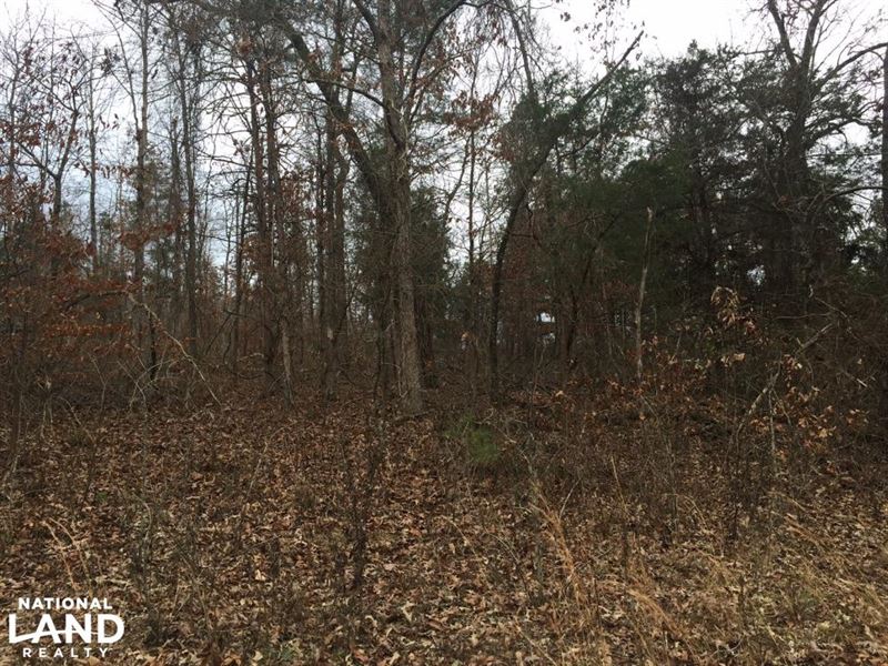 23 Acre Timberland & Hunting Lan : Delaware : Logan County : Arkansas