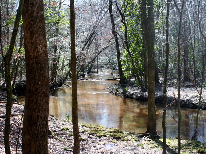 Lanahassee Creek : Preston : Webster County : Georgia