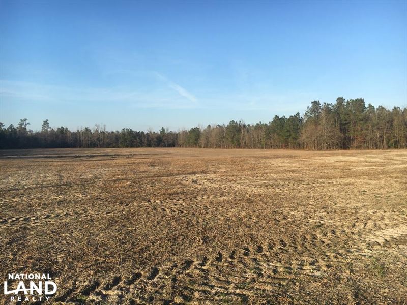 Aynor Agriculture Property, Farm for Sale in South Carolina, 120253