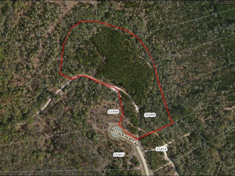 Lot 90 Deep Creek Plantation, Farm for Sale in Florida, 120292 FARMFLIP