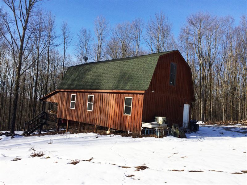14 Acre Cabin Near Ellicottville Ny : Lyndon : Cattaraugus County : New York