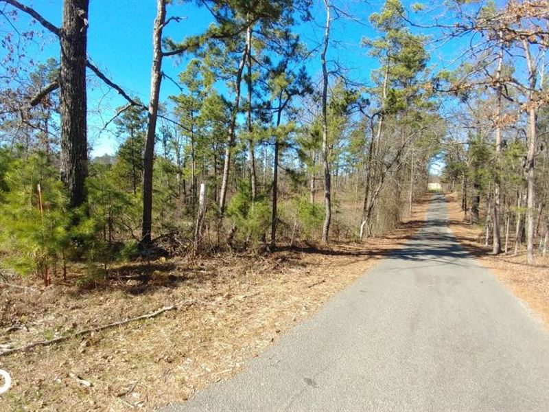 Wye Mountain 5 Acres Residential,, Farm for Sale in Arkansas, 120473