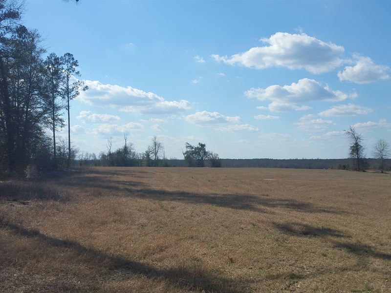Salley Road Farm, Farm for Sale in South Carolina, 120531 FARMFLIP