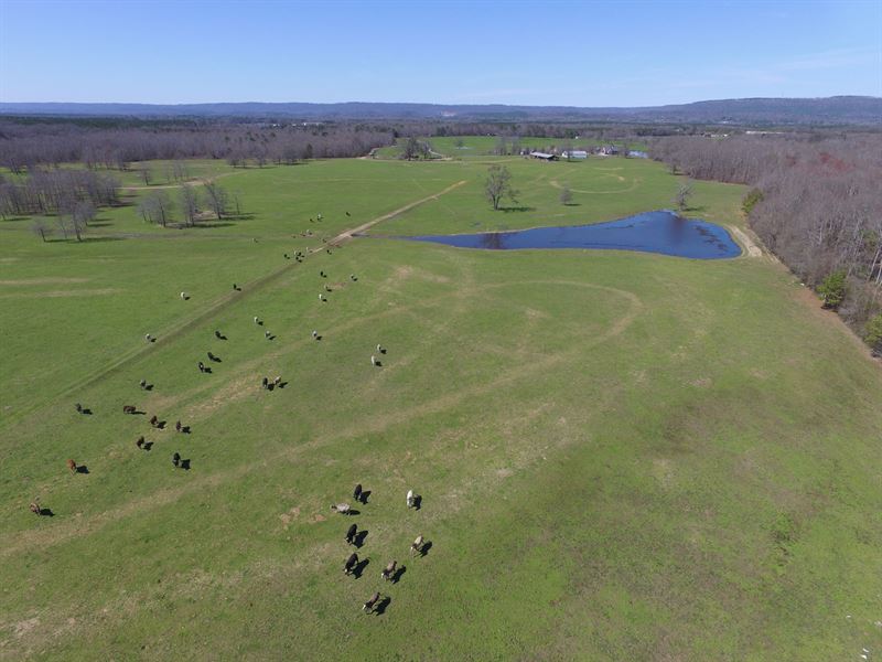 6,000 Ft On Creek, Pasture & Ponds Farm for Sale in Ashville, Saint Clair County, Alabama