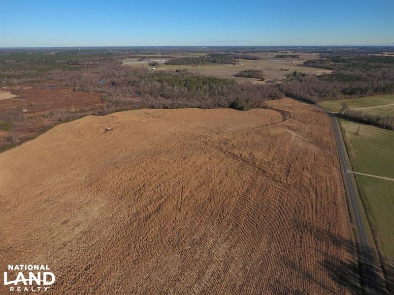 Hardy Farm Farm for Sale in Hookerton, Greene County, North Carolina
