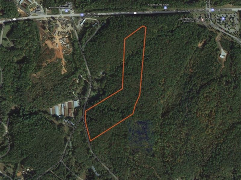 24.73 Acres Great Location Right Farm for Sale in Salem, Oconee