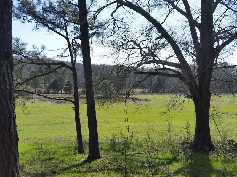 200+/ Acre Farm In Talladega Co Farm for Sale in Talladega