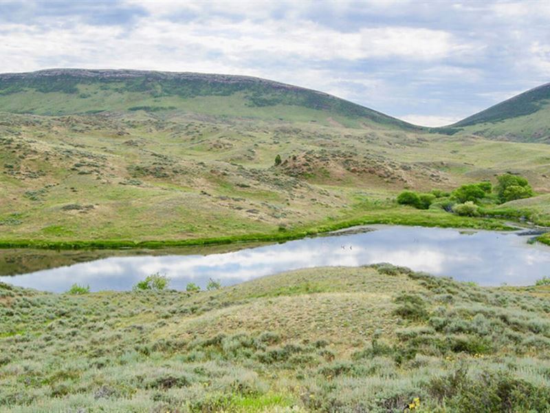 Ox Ranch-Large Wildlife Paradise : Wheatland : Platte County : Wyoming