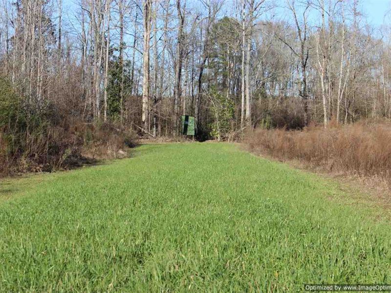 Great Rec/Estate Tract : Wesson : Copiah County : Mississippi