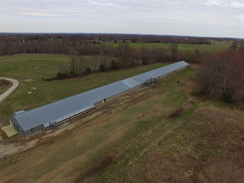 31 Acre Farm In Barren County, Ky Farm for Sale in Cave City, Barren