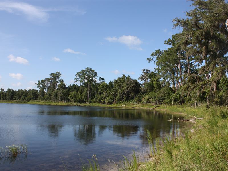 210 Acres Of Deep Creek Ranch, Farm for Sale in Florida, 121521 FARMFLIP