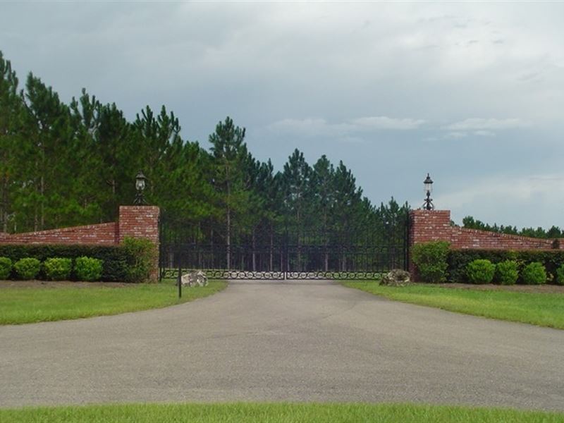 430 Acre Working Thoroughbred Farm, Farm for Sale in Florida, 121751