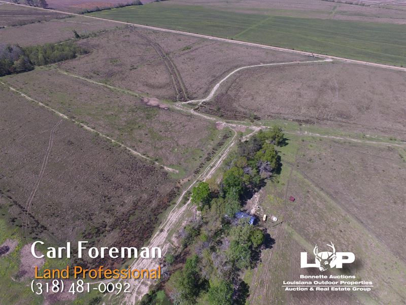 Land for Sale in Evangeline Parish, Farm for Sale in Louisiana, 121780