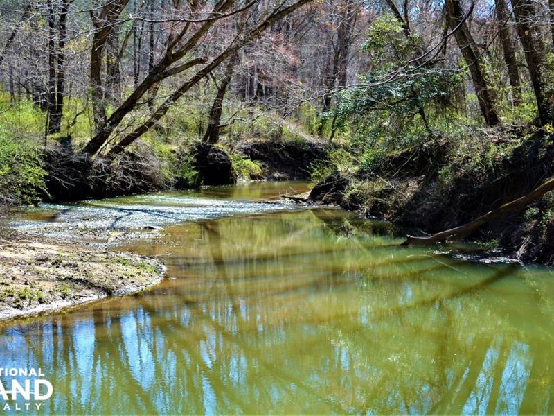 Little New River Recreation Tract : Brilliant : Marion County : Alabama