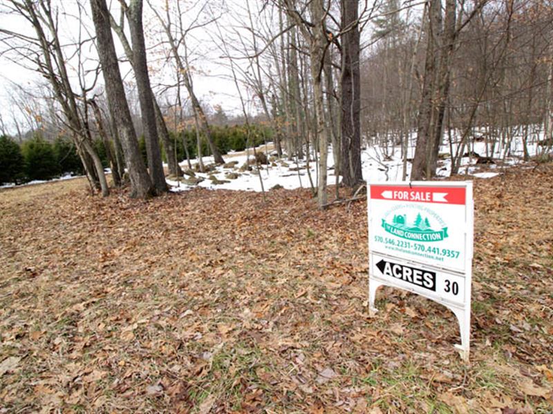30+/- Acres Of Land in Benton : Benton : Columbia County : Pennsylvania
