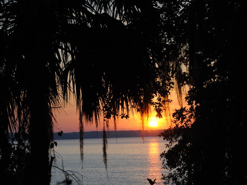 Lakefront, Custom Home, Citrus Grov : Ocklawaha : Marion County : Florida