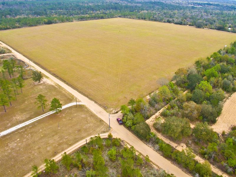 40 Acre Pasture Farmland Fencing, Farm for Sale in Florida, 122309