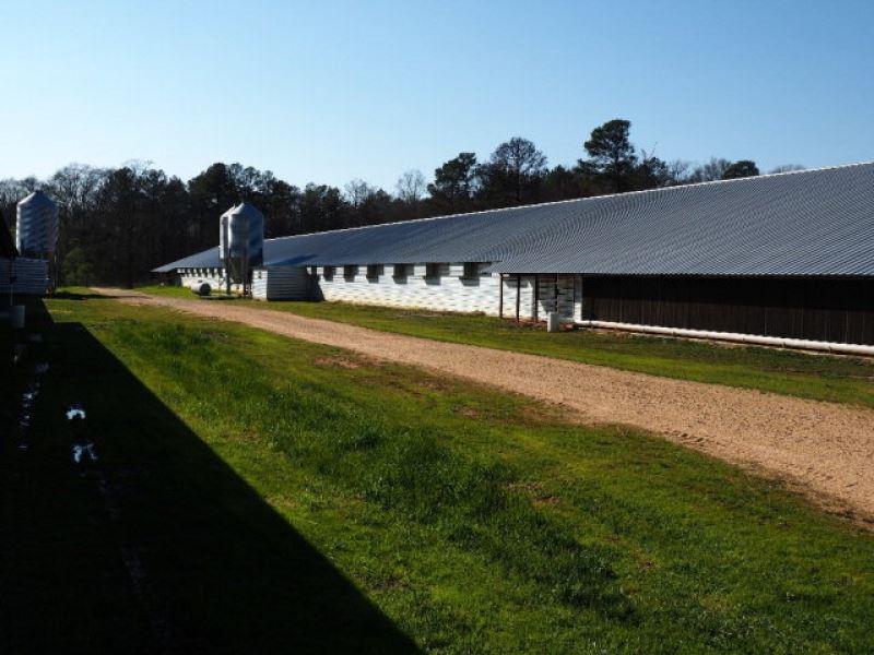 Poultry Farm For Sale Smith County Farm for Sale in Morton, Smith