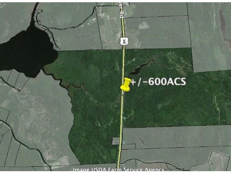 600 Acre Waterfront Tract Downeast : Whiting : Washington County : Maine