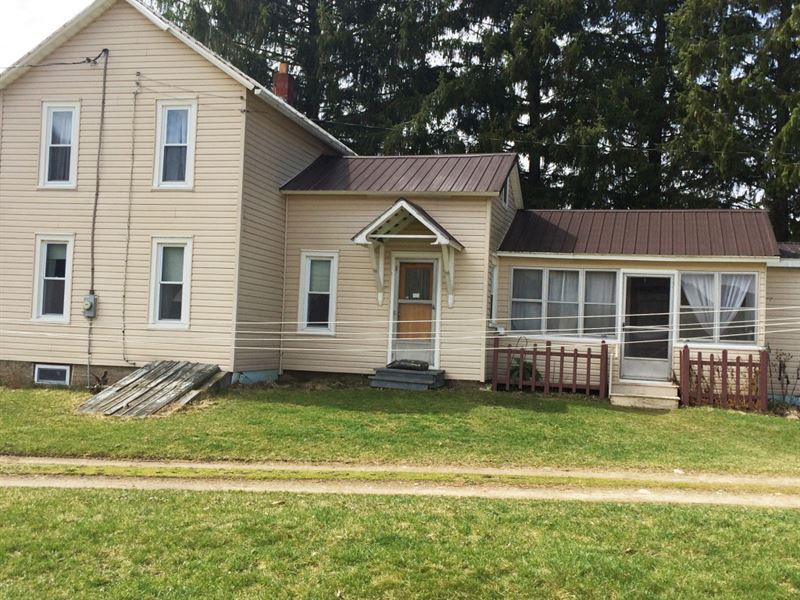 45 Acres Tillable Farmland House Ny, Farm for Sale in New York, 122906