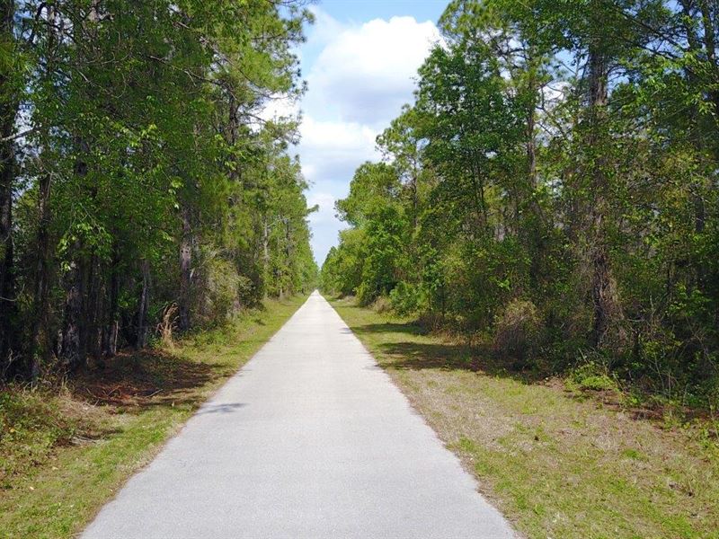 Green Swamp East : Polk City : Polk County : Florida