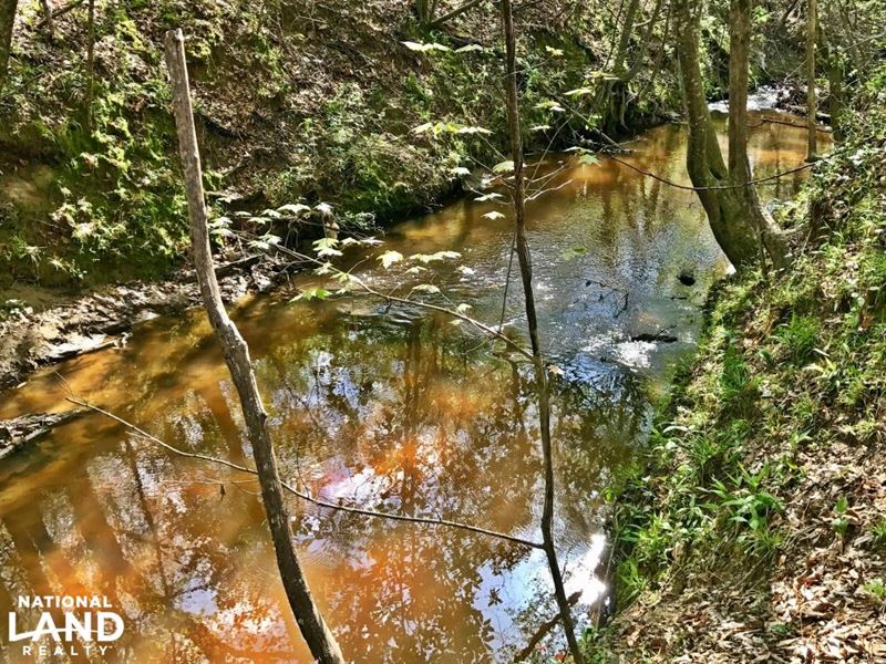 The Dixons Mills Little Creek Tract : Dixons Mills : Marengo County : Alabama