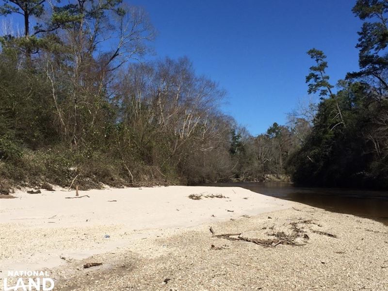 48 Acres on Black Creek with Sand : Brooklyn : Forrest County : Mississippi