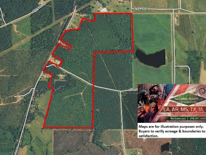 141 Ac Turnkey Recreational Tract : Homer : Claiborne Parish : Louisiana