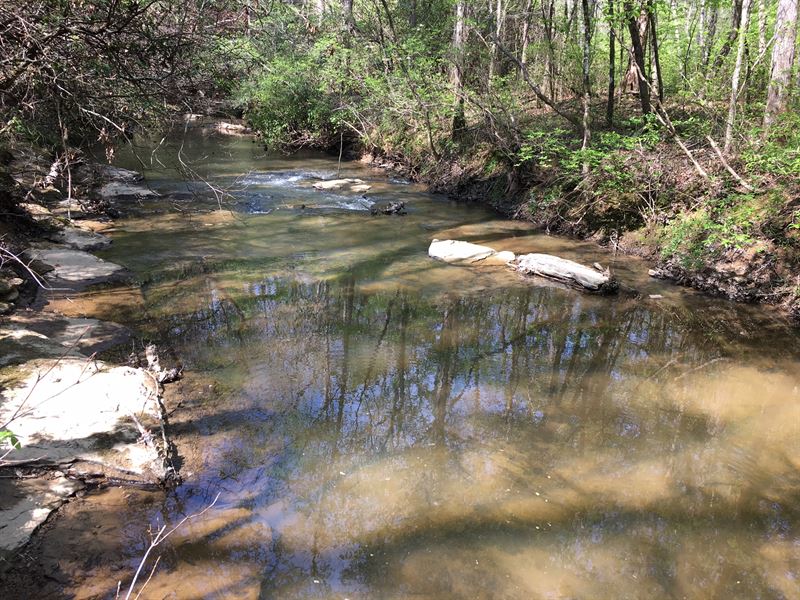Little Black Creek Retreat On 40 Ac : Odenville : Jefferson County : Alabama