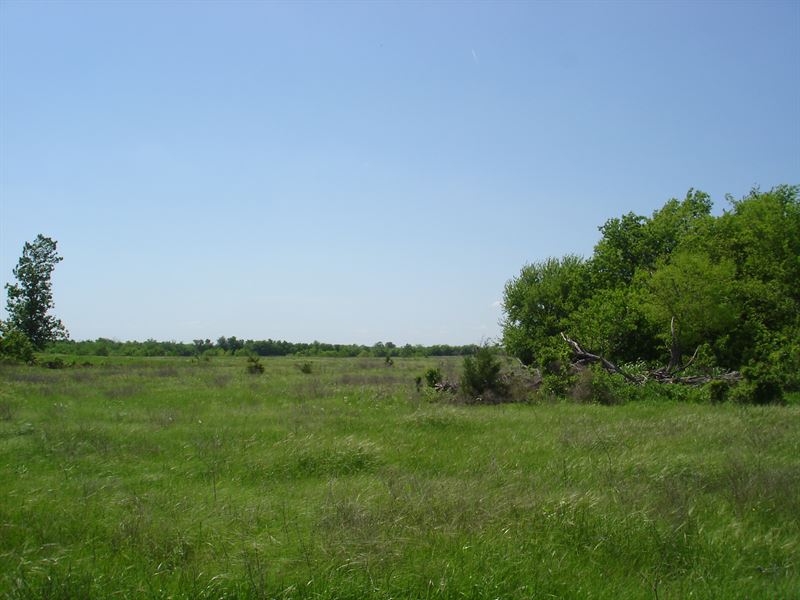 Acreage Ne Tx, Lamar Country : Paris : Lamar County : Texas