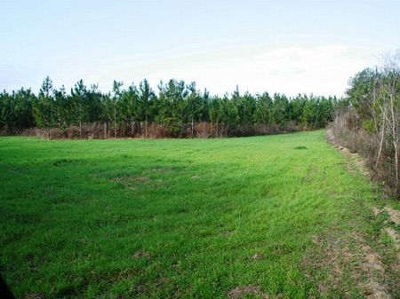 Dry Creek Farm : Albany : Worth County : Georgia