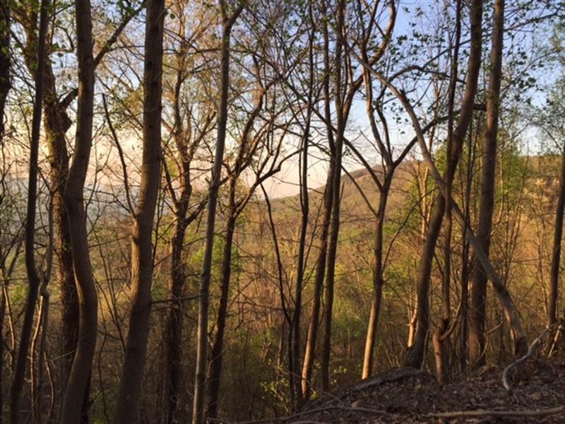 8.09+/- Acres Near Prentice Cooper : Whitwell : Marion County : Tennessee