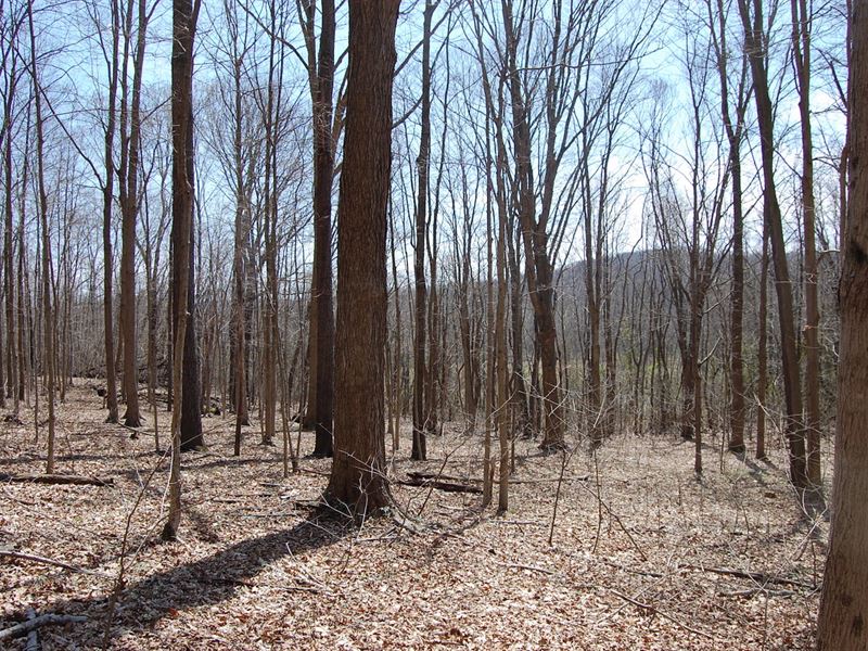 Mingo Rd 9 Acres, Farm for Sale in Ohio, 123623 FARMFLIP