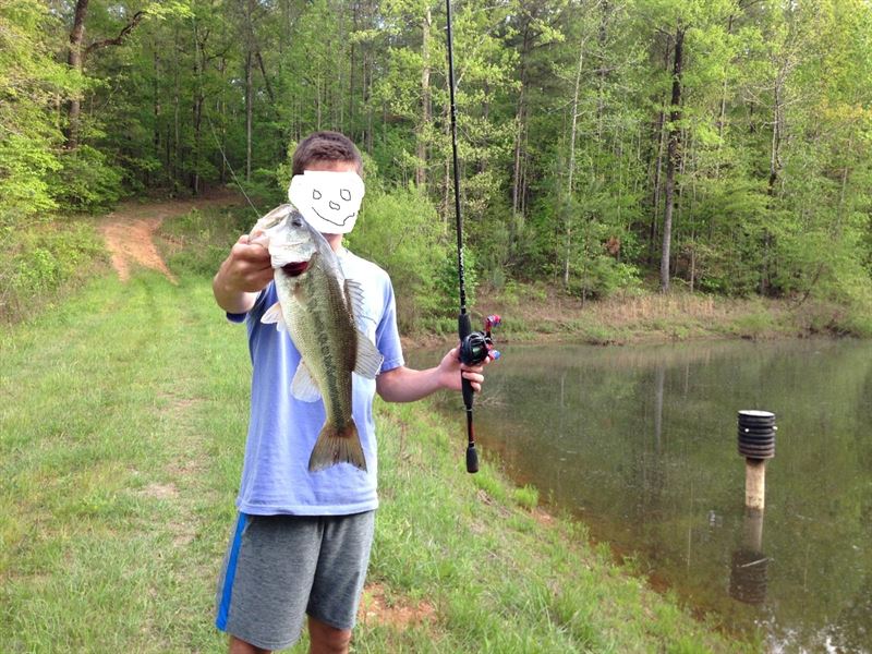 Big Timber, Big Creek , Fish Pond : Forsyth : Monroe County : Georgia
