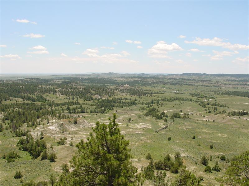 Land and Livestock, Farm for Sale in Wyoming, 123979 FARMFLIP
