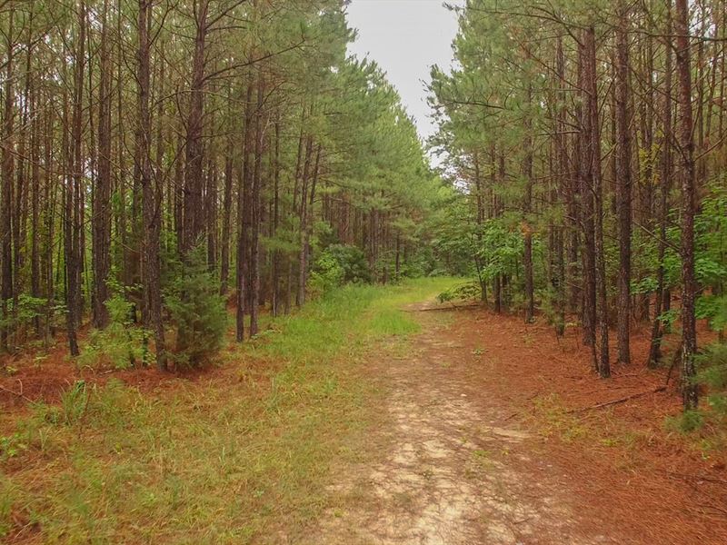 330 Acres in Anson County, Farm for Sale in North Carolina, 124045