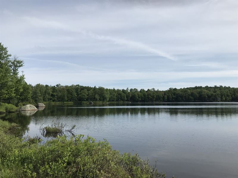 On Cook Pond Cranberry Lake Area, Farm for Sale in New York, 124065