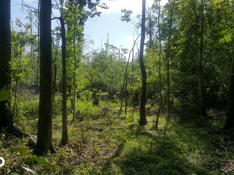 Moores Creek Homestead, Farm for Sale in North Carolina, 124070 FARMFLIP