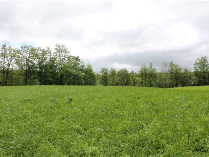 10 Acres Hobby Farm Morrisville Ny, Farm for Sale in New York, 124315
