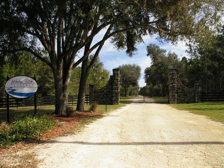 107 Acres in Winding River Preserve : Bronson : Levy County : Florida