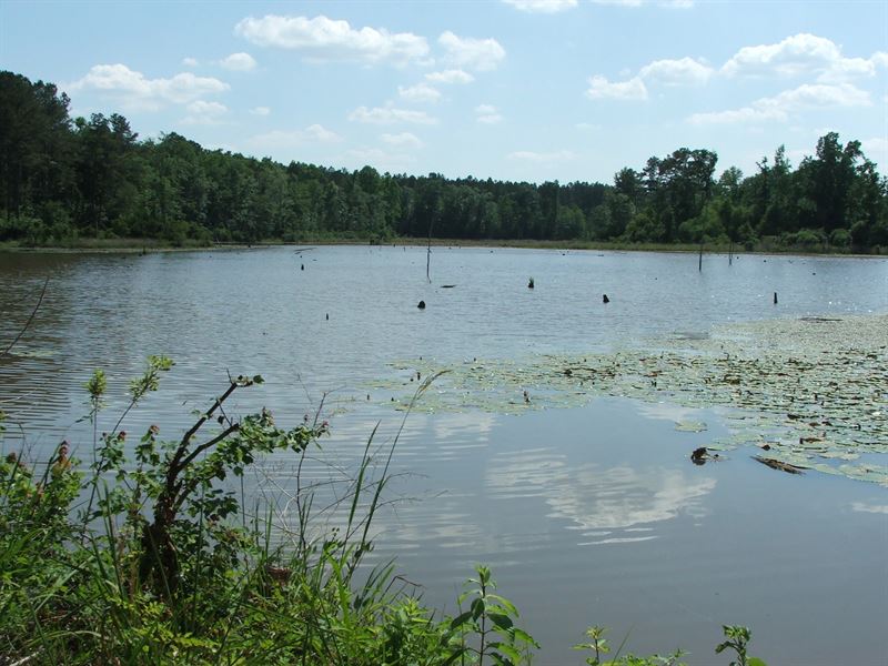 Hillis Farm, Cropland - Large Lake : Sardis : Burke County : Georgia