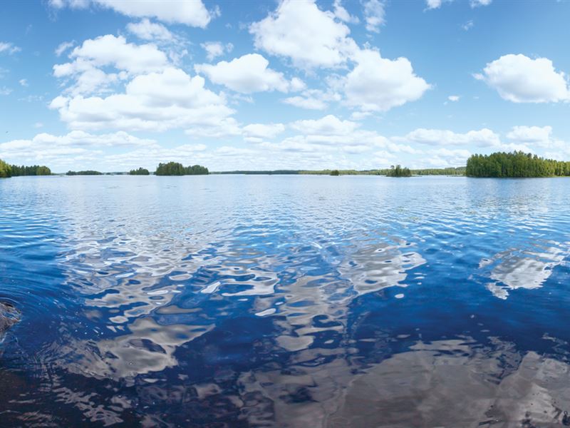 Lake Estate, Farm for Sale in Texas, 124435 FARMFLIP