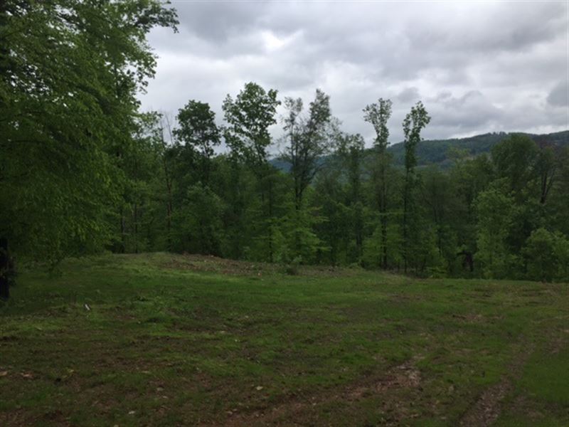 6.2+/-Acres Wooded with Views : South Pittsburg : Marion County : Tennessee