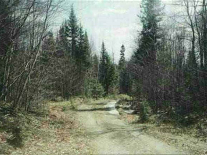 40 Acres Off Ned Lake Rd. 1101276 Farm for Sale in Michigamme, Baraga