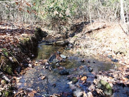 A135- 28 Acres : Heflin : Randolph County : Alabama