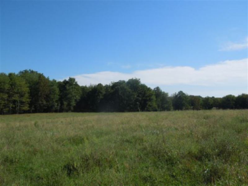 31.84 Pastures in Overton Co. : Livingston : Overton County : Tennessee