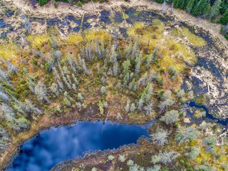 Presque Isle Frontier Lakes : Presque Isle : Vilas County : Wisconsin