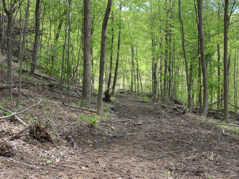 Tunnel Hill Rd - 68 Acres : Dennison : Harrison County : Ohio