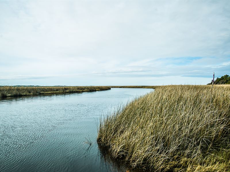 Coastal Waterfront Timber Develop : Atlantic : Carteret County : North Carolina