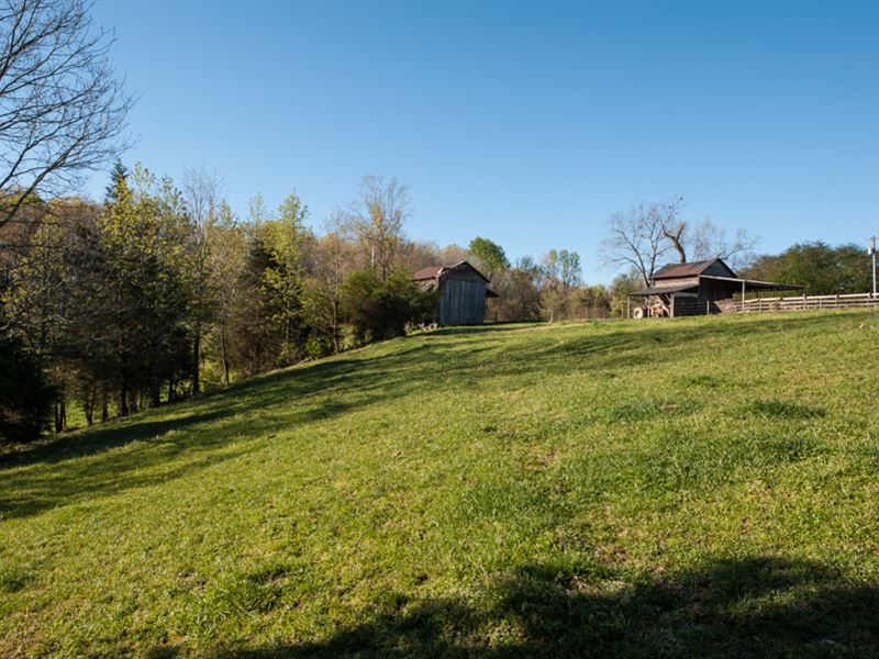 Windy Slopes Farm East Farm for Sale in Prospect Hill, Caswell